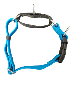 DUAL-CLIP Martingale Dog Collar