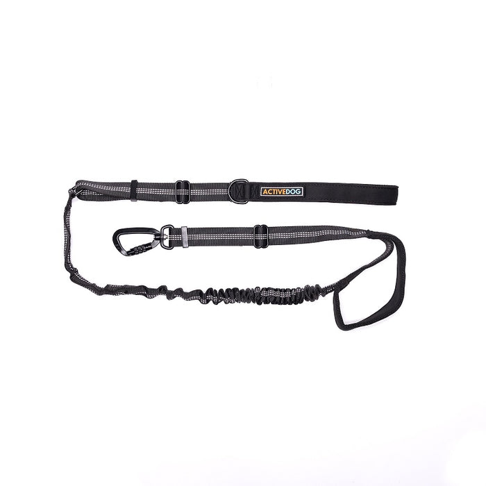 Bungee Dog Lead