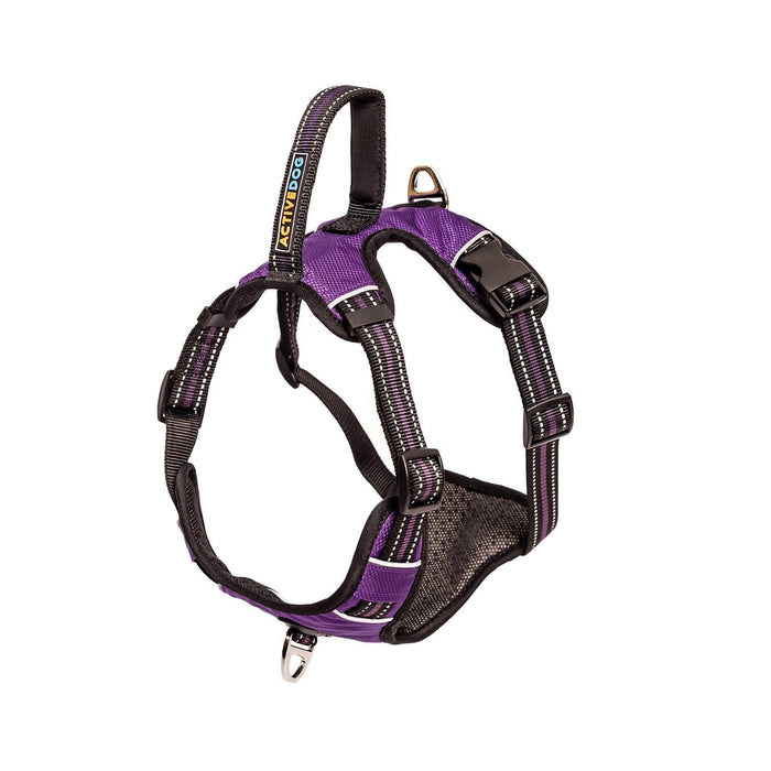 FrontClipDogHarness Purple ACTIVEDOG