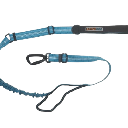6 Factors to Consider When Buying a Dog Lead ACTIVEDOG