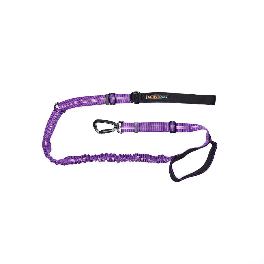 TOP 5 Reasons to use a 1.8M Lead ACTIVEDOG