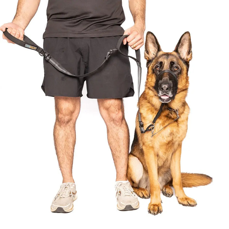 WATERPROOF Dog Head Halter ACTIVEDOG