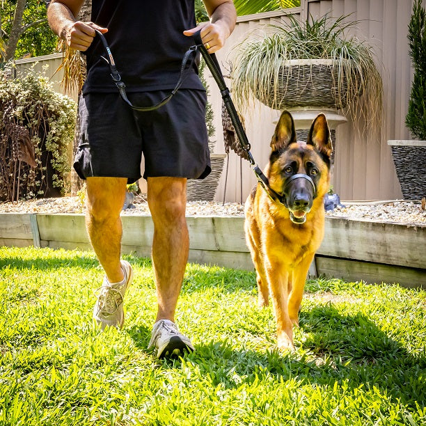 WATERPROOF Dog Head Collar