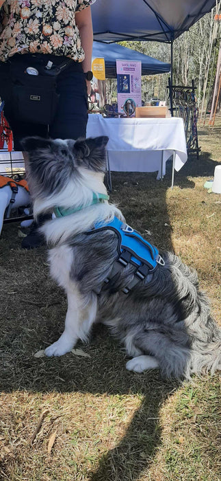 SPORT No Pull Dog Harness