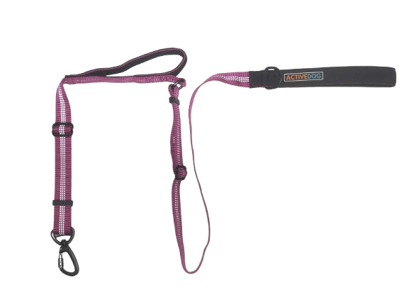 Adjustable Dog Lead