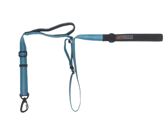 Adjustable Dog Lead