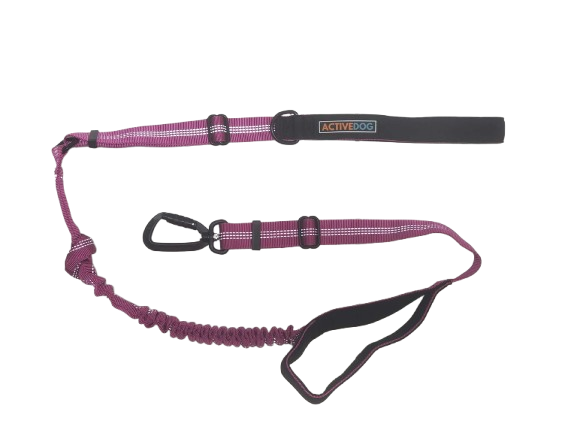 Bungee Dog Lead