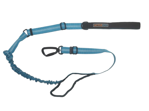 Bungee Dog Lead