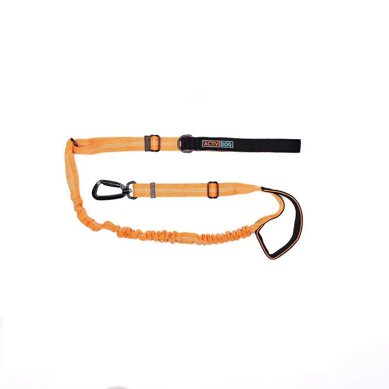 Bungee Dog Lead ACTIVEDOG