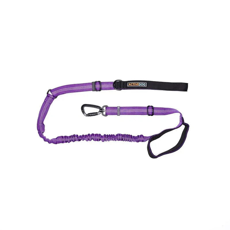 Bungee Dog Lead ACTIVEDOG