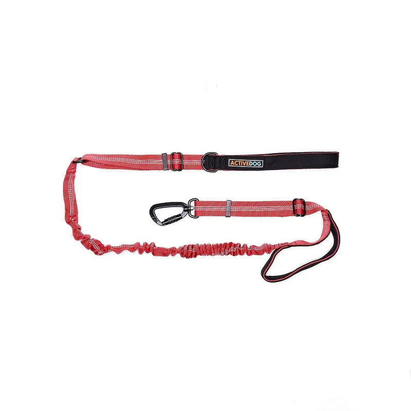 Bungee Dog Lead ACTIVEDOG