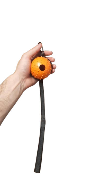 Interactive Dog Ball + Dog Ball Cover