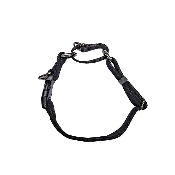 DUAL-CLIP Martingale Dog Collar ACTIVEDOG