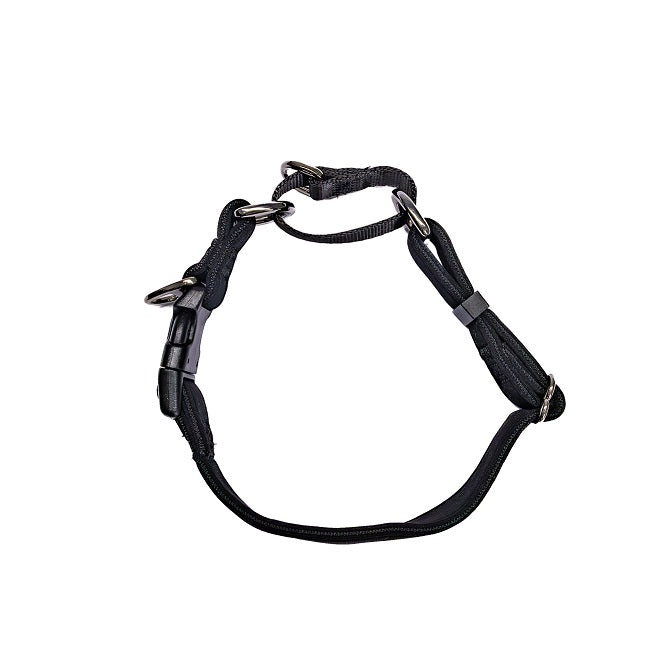 DUAL-CLIP Martingale Dog Collar