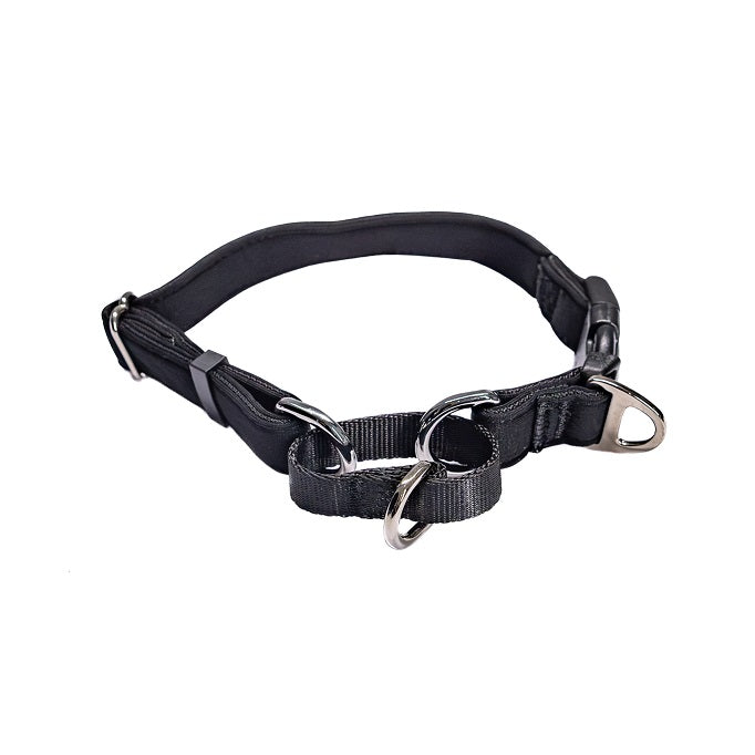 DUAL-CLIP Martingale Dog Collar