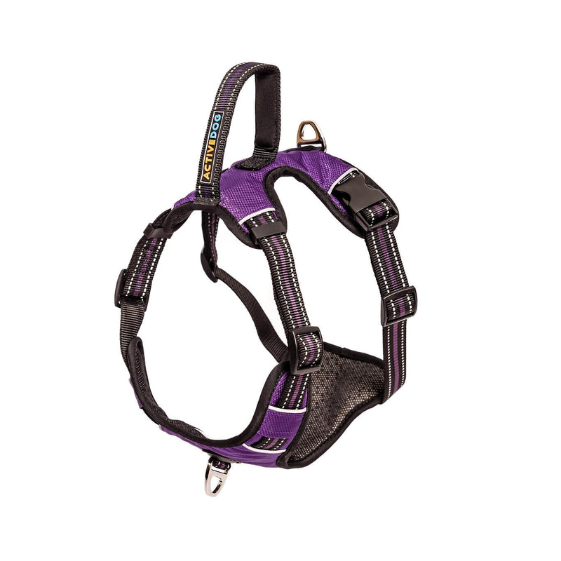 FrontClipDogHarness Purple ACTIVEDOG