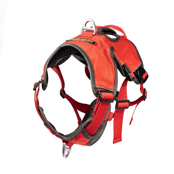 SAFE Escape Proof Dog Harness